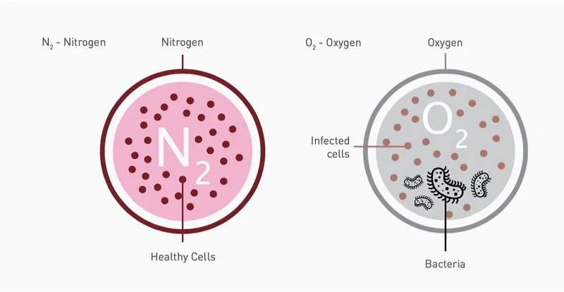 công nghệ làm đầy nhau thai bằng nitơ
