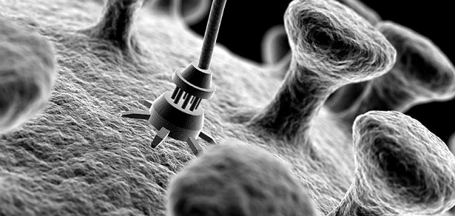 Nhũ tương công nghệ nano nhau thai